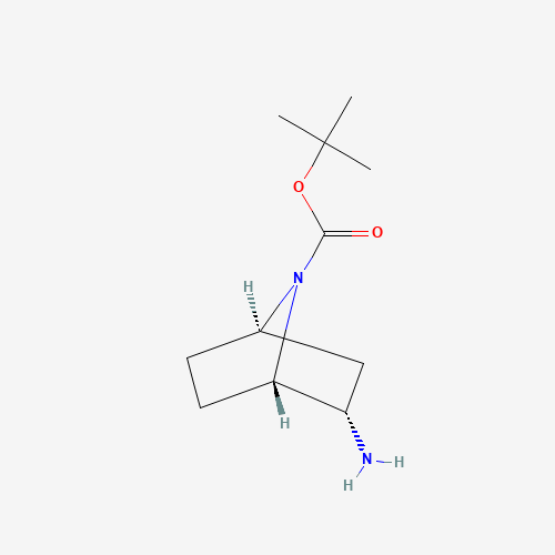 (1S,2S,4R)-2-氨基-7-氮杂双环[2.2.1]庚烷-7-羧酸叔丁酯