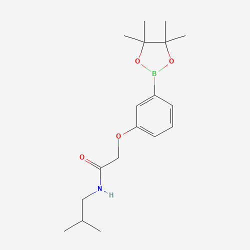 3-（N-异丁基氨甲酰基甲氧基）苯基硼酸频哪醇酯