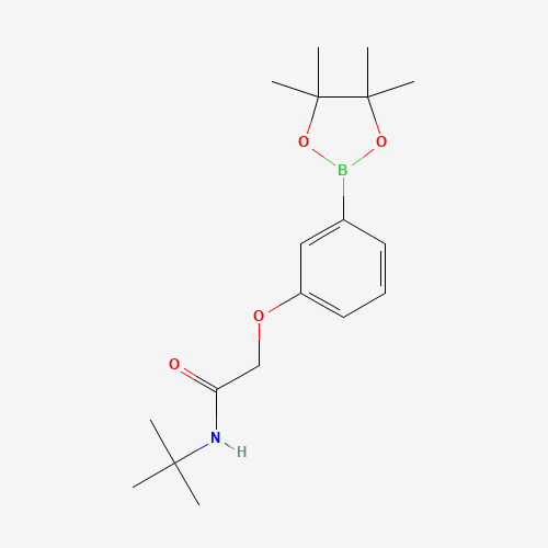 N-叔丁基-2-(3-(4，4，5，5-四甲基-1，3，2-二氧杂硼杂环戊烷-2-基)苯氧基)乙酰胺