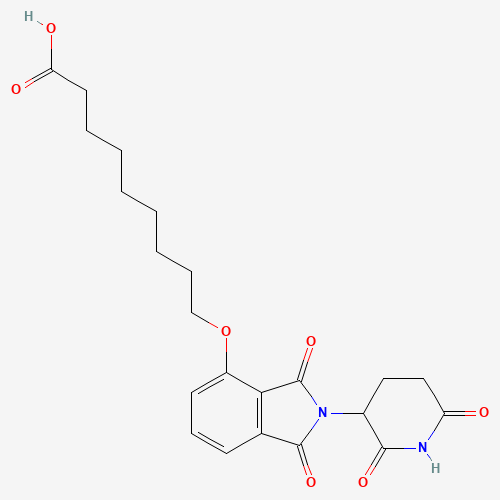 沙利度胺4'-醚-烷基C8-酸