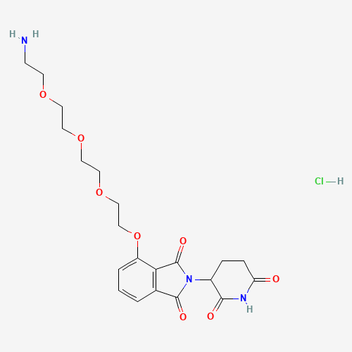 沙利度胺4'-醚-PEG3-胺盐酸盐