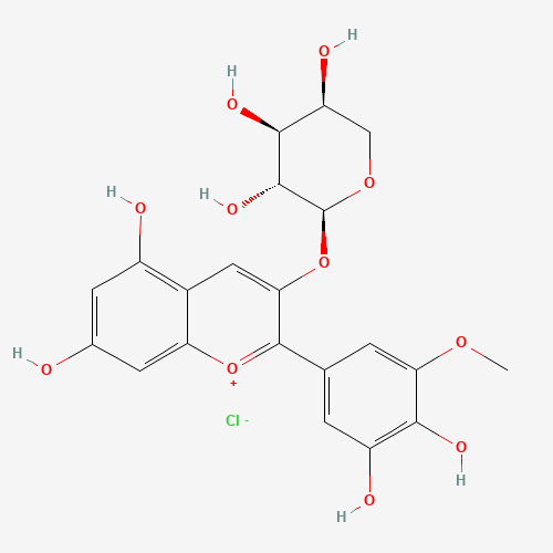 矮牵牛素阿拉伯糖苷、28500-03-0 CAS查询、矮牵牛素阿拉伯糖苷物化性质