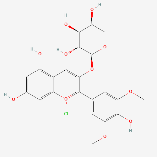 氯化锦葵色素-3-O-阿拉伯糖苷、28500-04-1 CAS查询、氯化锦葵色素-3-O-阿拉伯糖苷物化性质