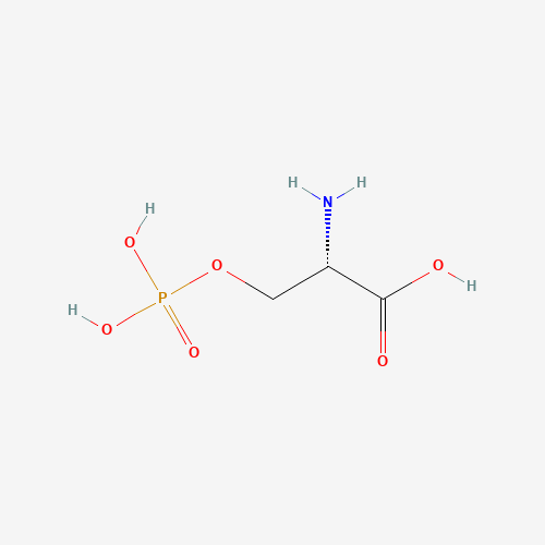 L-O-磷酸丝氨酸