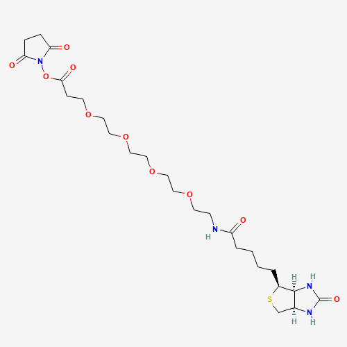 21-[(3AS,4S,6AR)-六氢-2-氧代-1H-噻吩并[3,4-D]咪唑-4-基]-17-氧代-4,7,10,13-四氧杂-16-氮杂二十一碳酸 2,5-二氧代-1-吡咯烷基酯、459426-