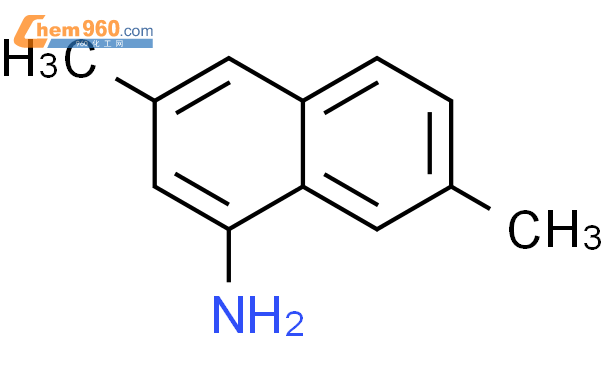 3,7-二甲基萘-1-胺,1g
