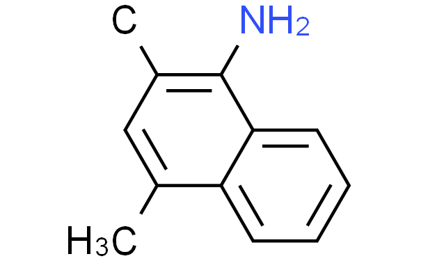 2,4-二甲基萘-1-胺,1g