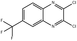 2,3-二氯-6-(三氟甲基)喹噁啉,1g