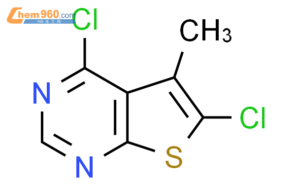 4,6-二氯-5-甲基噻吩并[2,3-D]嘧啶,1g