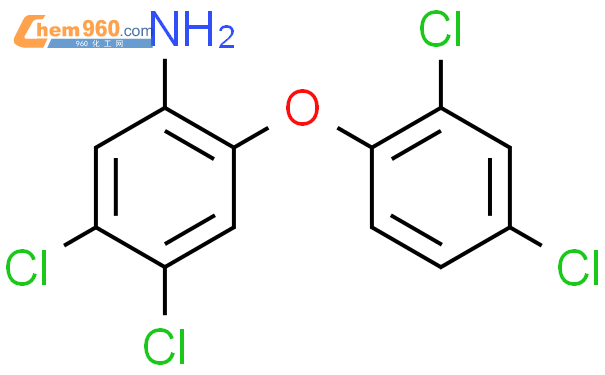 4,5-二氯-2-(2,4-二氯苯氧基)苯胺,1g
