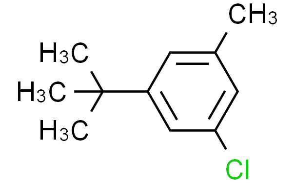 3-T-BUTYL-5-CHLOROTOLUENE,1g