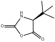 (S)-(-)-4-叔丁基氧氮杂环戊烷-2,5-二酮,5g