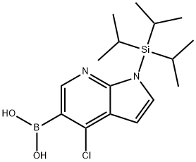 (9CI)-[4-氯-1-[三(1-甲基乙基)硅酯]-1H-吡咯并[2,3-B]吡啶-5-基]-硼酸,1g