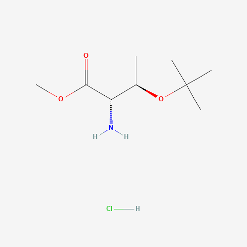 H-THR(TBU)-OME鹽酸鹽、71989-43-0 CAS查詢(xún)、H-THR(TBU)-OME鹽酸鹽物化性質(zhì)