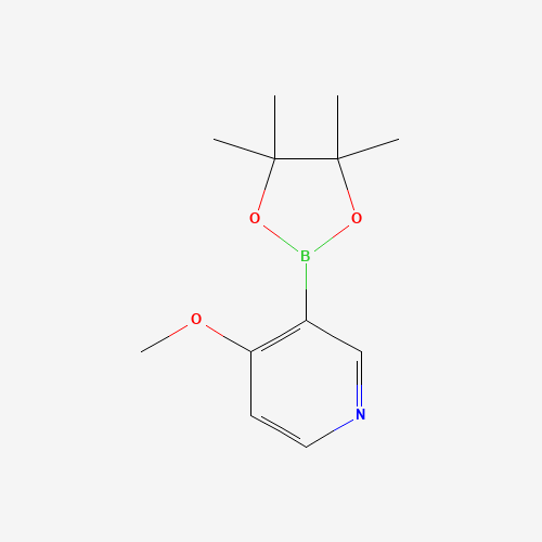 4-甲氧基吡啶-3-硼酸频哪醇酯、758699-74-0 CAS查询、4-甲氧基吡啶-3-硼酸频哪醇酯物化性质