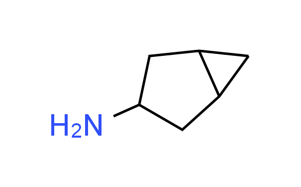 双环[3.1.0]己-3-胺,100mg