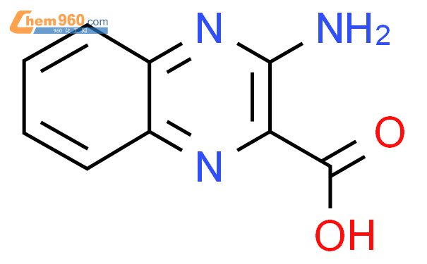 3-氨基喹喔啉-2-羧酸,1g