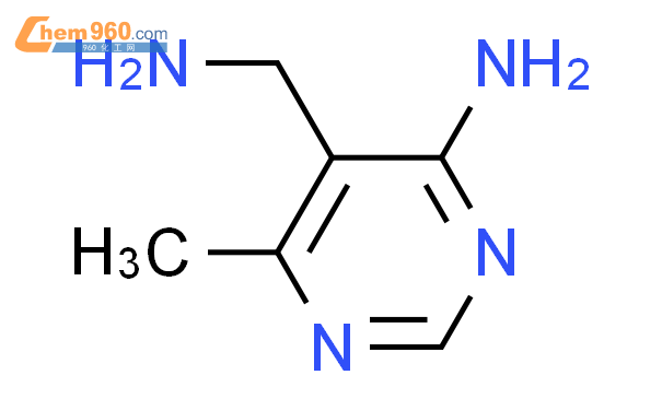 5-(氨基甲基)-6-甲基嘧啶-4-胺,1g