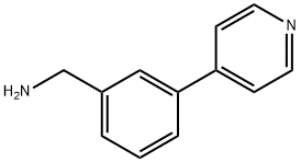 3-(4-吡啶基)苄胺,1g