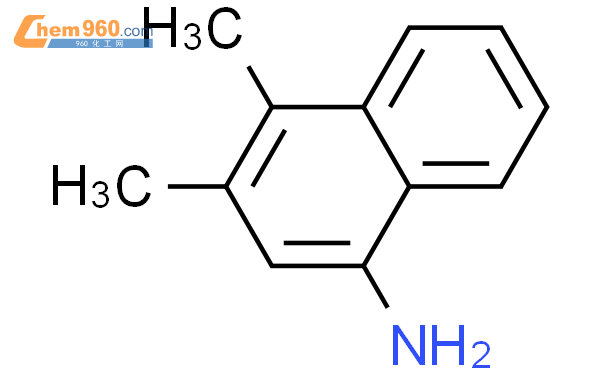 3,4-二甲基萘-1-胺,1g