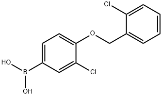 3-氯-4-(2'-氯苄氧基)苯基硼酸,5g