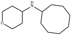 N-环辛基四氢-2H-吡喃-4-胺,1g