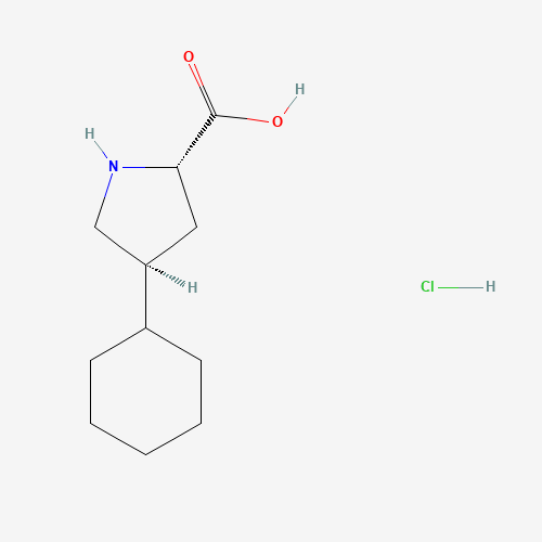 反式-4-环己基-L-脯氨酸盐酸盐、90657-55-9 CAS查询、反式-4-环己基-L-脯氨酸盐酸盐物化性质
