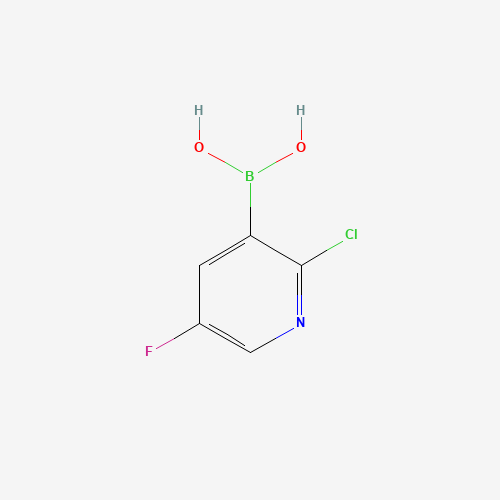 2-氯-5-氟吡啶-3-硼酸、913373-43-0 CAS查询、2-氯-5-氟吡啶-3-硼酸物化性质