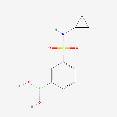 N-环丙基-3-硼苯磺酰胺、913835-28-6 CAS查询、N-环丙基-3-硼苯磺酰胺物化性质
