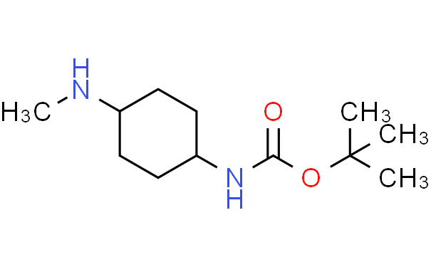 (4-甲基氨基-环己基)-氨基甲酸叔丁酯,1g