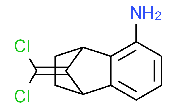 9-(二氯)-1,2,3,4-四氢-1,4-甲基萘-5-胺,1g