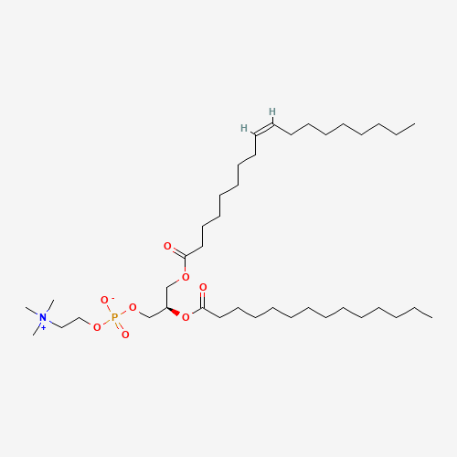 1-OLEOYL-2-MYRISTOYL-SN-GLYCERO-3-PHOSPHOCHOLINE;18:1-14:0 PC、95896-56-3 CAS查询、1-OLEOYL-2-MYRISTOYL-