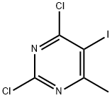 2,4-二氯-5-碘-6-甲基嘧啶,1g