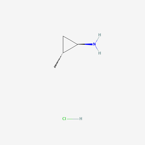 反式-2-甲基环丙胺盐酸盐、97291-62-8 CAS查询、反式-2-甲基环丙胺盐酸盐物化性质
